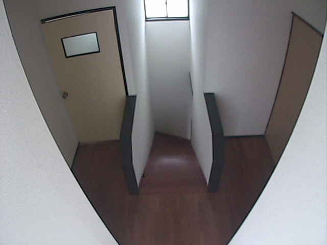 Tele